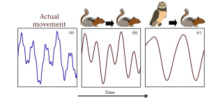 Illustration for article titled Small animals perceive the world in slow-motion